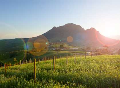 Winelands & Beyond